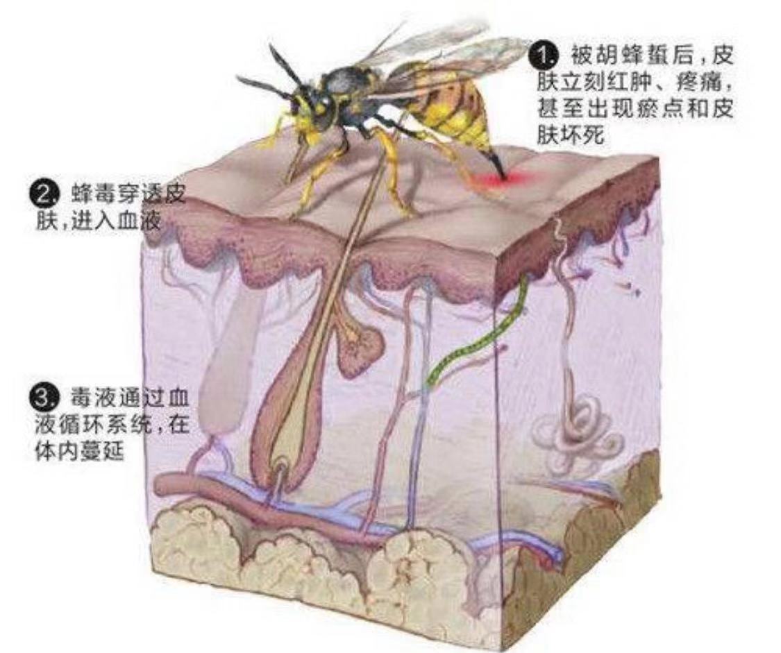21点游戏规则