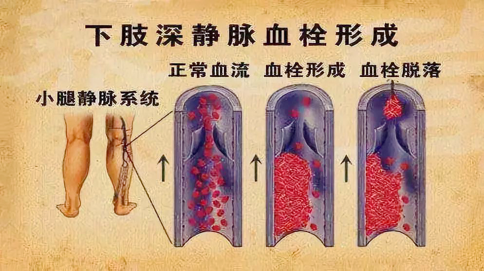 21点游戏规则