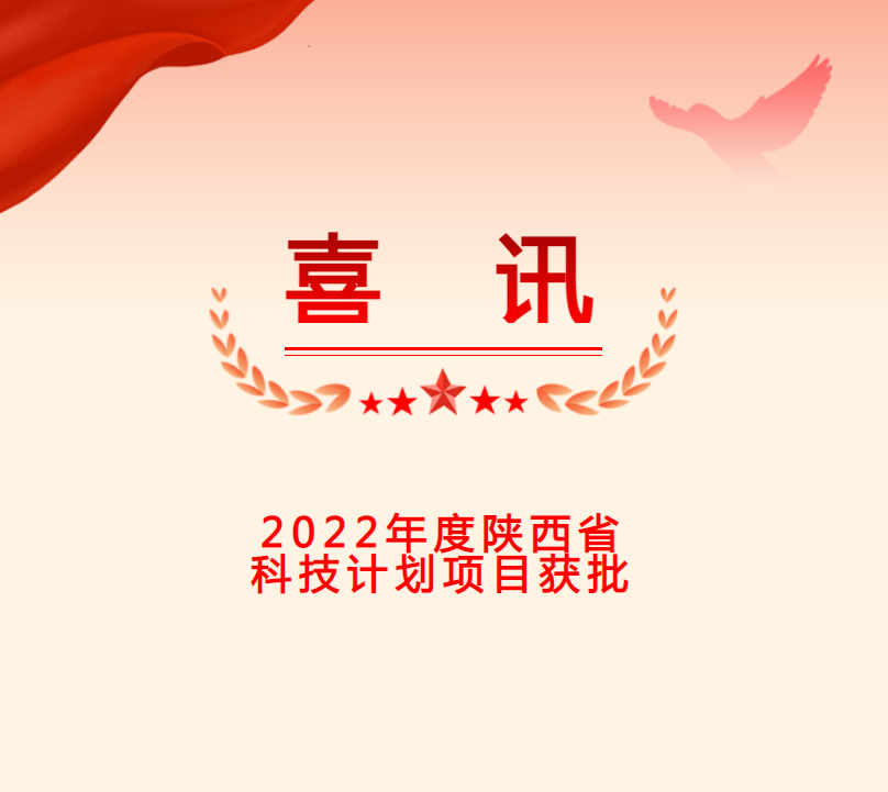 21点游戏规则