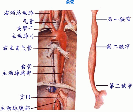 21点游戏规则